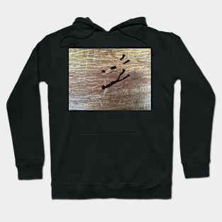 Diver background image Hoodie